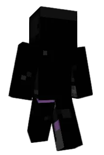 Temakkio Minecraft avatar full body