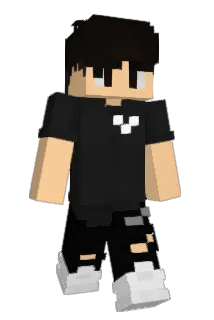 Temaninja12 Minecraft avatar full body