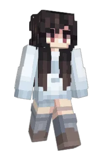 Tennesee Minecraft avatar full body