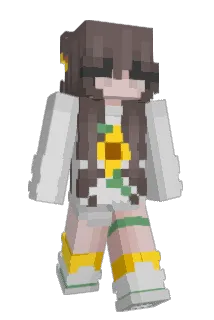 Tennessseee Minecraft avatar full body