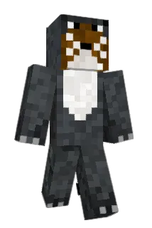 Tenreco Minecraft avatar full body
