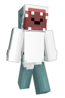 Tenzegrity Minecraft avatar full body