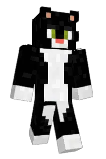 Teo45dore Minecraft avatar full body