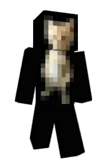Teo_B Minecraft avatar full body
