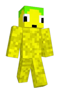 Teplejek Minecraft avatar full body