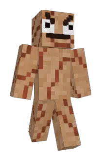 Terd_ Minecraft avatar full body