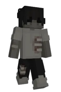 Terecht Minecraft avatar full body
