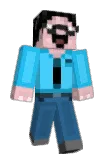 Teri_14 Minecraft avatar full body