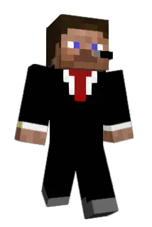Terminiser167 Minecraft avatar full body