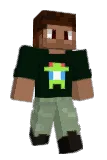 TerraCraftBR Minecraft avatar full body