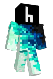 TerraWisp Minecraft avatar full body