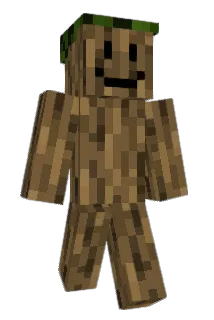 TerribleCoder Minecraft avatar full body