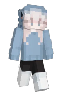 Terrrrrrr Minecraft avatar full body