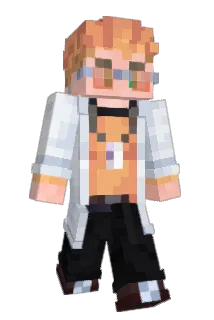 TerryAyin Minecraft avatar full body