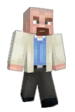 TerseSatyr82113 Minecraft avatar full body