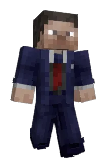 Terwoo81 Minecraft avatar full body