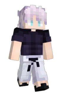 Testers Minecraft avatar full body