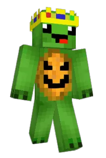Tetle9 Minecraft avatar full body