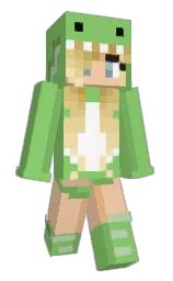 Custom render preview