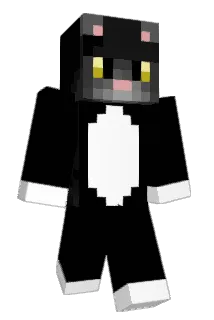 Teubticha Minecraft avatar full body