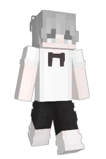 TextChat Minecraft avatar full body