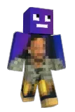 Teype Minecraft avatar full body