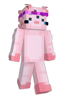 Tezz1512 Minecraft avatar full body