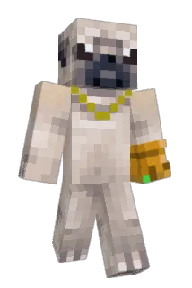 That1RadioGuy Minecraft avatar full body