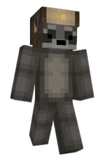That1racoon Minecraft avatar full body