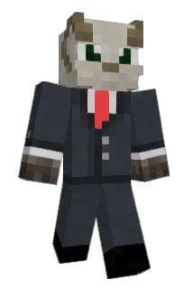 ThatKid852 Minecraft avatar full body