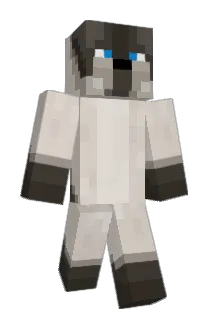 ThatOneGuy152 Minecraft avatar full body