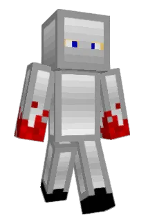 TheASSASSINB Minecraft avatar full body