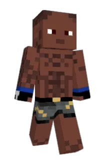 TheBJP Minecraft avatar full body