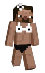 Custom render preview