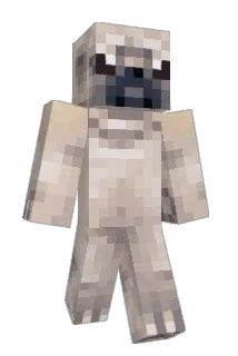 TheBestFan1988 Minecraft avatar full body