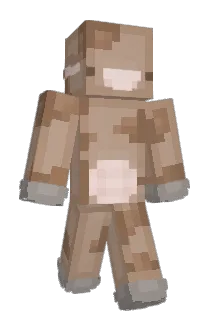 TheBungee Minecraft avatar full body