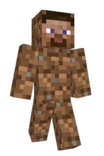 TheChadCat Minecraft avatar full body