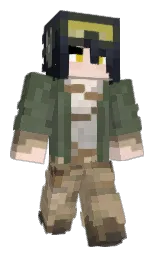 Custom render preview