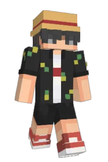 TheFl0st1 Minecraft avatar full body