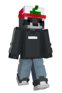 TheGamingRacoon Minecraft avatar full body