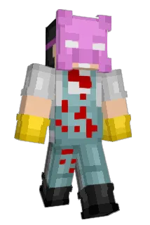 TheHamHawk Minecraft avatar full body