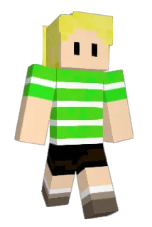 TheInsaneTiger Minecraft avatar full body