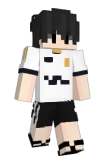 TheLocalChips Minecraft avatar full body