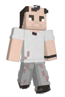 TheMinecrafterb Minecraft avatar full body