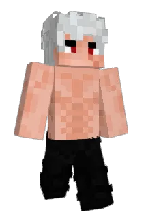TheNinjaVxV Minecraft avatar full body