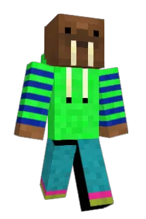 TheNinjaWalrus Minecraft avatar full body