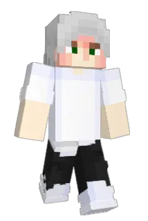 TheNiytew Minecraft avatar full body