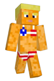 ThePenguin1102 Minecraft avatar full body