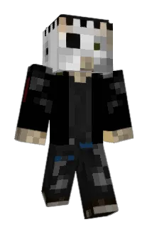 TheRaptor2214 Minecraft avatar full body