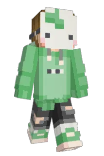 TheRowerArtist Minecraft avatar full body